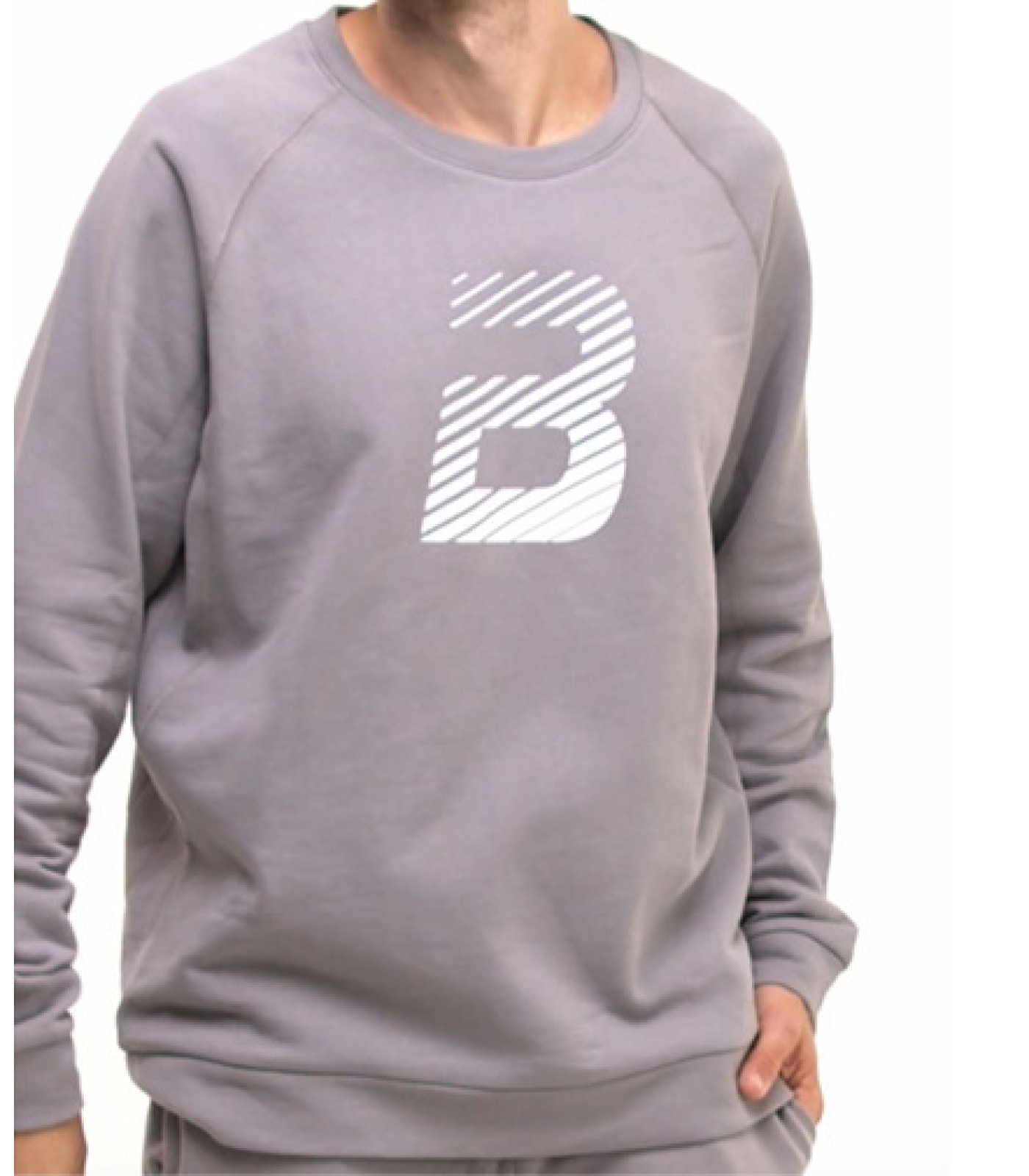 BIOTECH USA ZONE Men Sweater / Grey